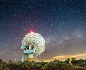 OTC Dish - Foster Accommodation 0