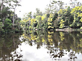 Arthur River - Foster Accommodation 0