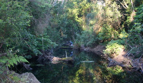 Nadgee Nature Reserve - Foster Accommodation 2