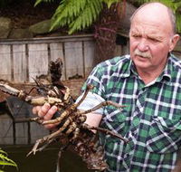 Lobster Ponds - Foster Accommodation