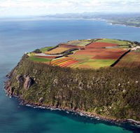 Table Cape - Foster Accommodation