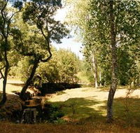 Oldina Picnic Area - Foster Accommodation