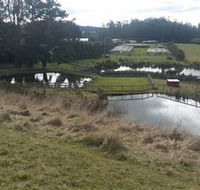 Guide Falls Farm - Foster Accommodation