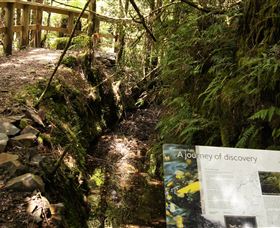 Philosopher Falls - Foster Accommodation 1