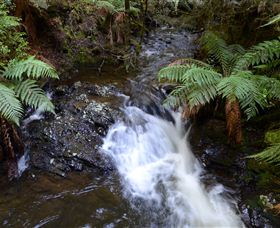 Philosopher Falls - Foster Accommodation 4
