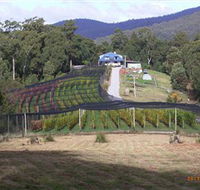 Motton Terraces - Foster Accommodation