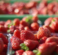 Turners Beach Berry Patch - Foster Accommodation