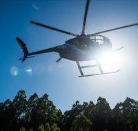 Tall Timbers Adventure Tours - Foster Accommodation