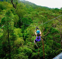 Canyon Flyer - Foster Accommodation