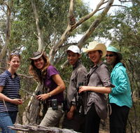 Echidna Walkabout Nature Tours - Foster Accommodation