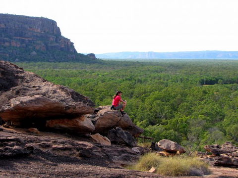 Echidna Walkabout Nature Tours - Foster Accommodation 21