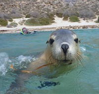 Calypso Star Charters - Foster Accommodation