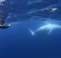 Sunreef Mooloolaba - Foster Accommodation