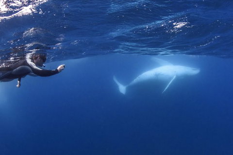 Sunreef Mooloolaba - Foster Accommodation 3