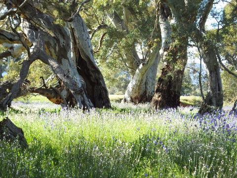 Aussie Heritage Tours - Foster Accommodation 3
