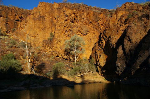 Aussie Heritage Tours - Foster Accommodation 6
