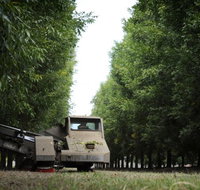 ODempseys Charters and Tours - Foster Accommodation