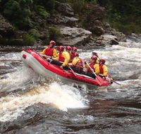 King River Rafting - Foster Accommodation