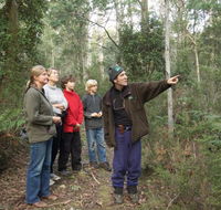 Great Western Tiers Forest Walks Tasmania - Foster Accommodation