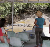 Whitsunday Crocodile Safari - Foster Accommodation