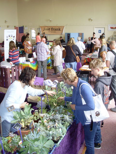 Health Harmony And Happiness Festival - Foster Accommodation 0