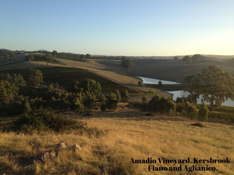 La Prova Wines - Foster Accommodation 3