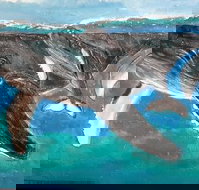 Kaz Art-Whitewash Gallery - Foster Accommodation