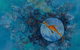 Great Lakes Art Society - thumb 3