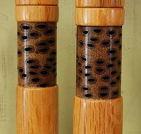 Barking Dog Gallery - Foster Accommodation