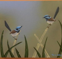 Castlereagh Collectables - Foster Accommodation