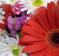 Marysworldart Bali Imports - Foster Accommodation