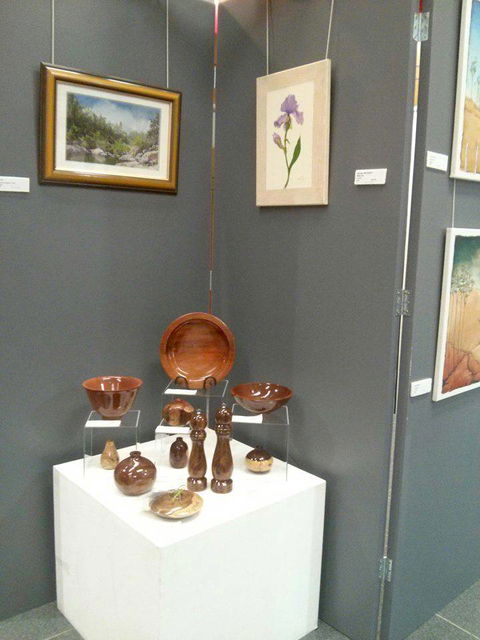 Townsville Art Society Inc - Foster Accommodation 2