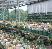 Summerland Aquarium - Foster Accommodation