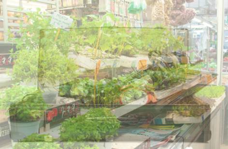 Warrawong Markets - Foster Accommodation 2