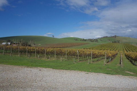Wine Compass - Foster Accommodation 1