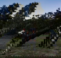 Stargazing Busselton with Mobile Observatory - Foster Accommodation