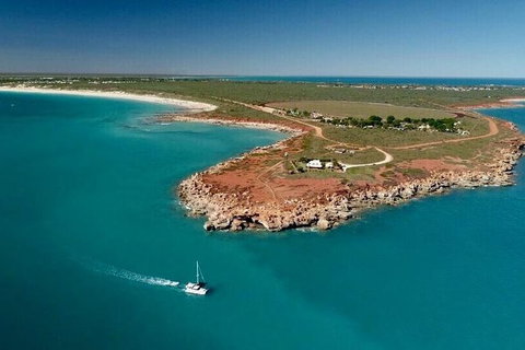 Snubfin Dolphin Eco Cruise From Broome - Foster Accommodation 7