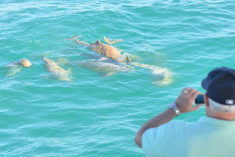 Snubfin Dolphin Eco Cruise From Broome - Foster Accommodation 3