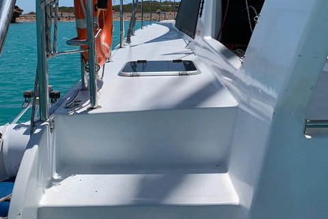 Snubfin Dolphin Eco Cruise From Broome - Foster Accommodation 13