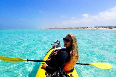 Lagoon Explorer - Ningaloo Reef Full-Day Kayaking And Snorkeling Adventure - Foster Accommodation 0