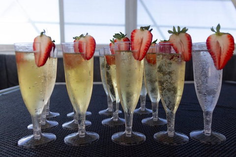 Swim With Whale Sharks- The Largest Fish In The World! - Foster Accommodation 7