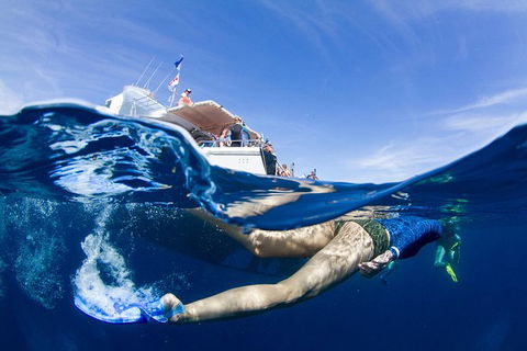 VIP Luxury Chartered Escapes, Exploring The Reef At Your Own Pace - Foster Accommodation 40