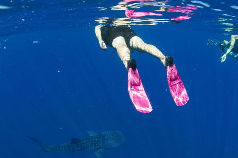 VIP Luxury Chartered Escapes, Exploring The Reef At Your Own Pace - Foster Accommodation 49