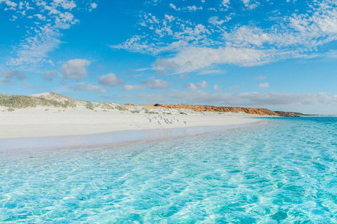 VIP Luxury Chartered Escapes, Exploring The Reef At Your Own Pace - Foster Accommodation 36