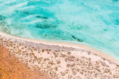 VIP Luxury Chartered Escapes, Exploring The Reef At Your Own Pace - Foster Accommodation 4