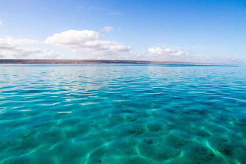 VIP Luxury Chartered Escapes, Exploring The Reef At Your Own Pace - Foster Accommodation 32