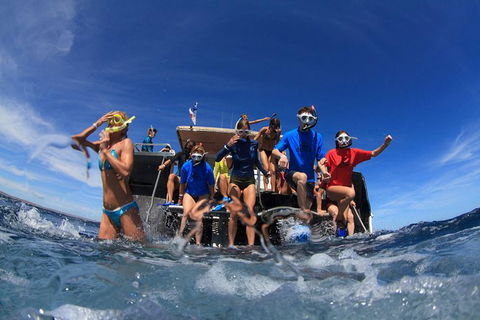 VIP Luxury Chartered Escapes, Exploring The Reef At Your Own Pace - Foster Accommodation 17
