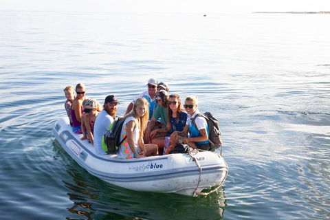 VIP Luxury Chartered Escapes, Exploring The Reef At Your Own Pace - Foster Accommodation 43