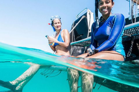 VIP Luxury Chartered Escapes, Exploring The Reef At Your Own Pace - Foster Accommodation 24