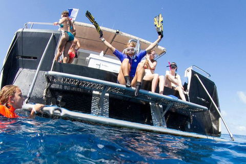 VIP Luxury Chartered Escapes, Exploring The Reef At Your Own Pace - Foster Accommodation 25